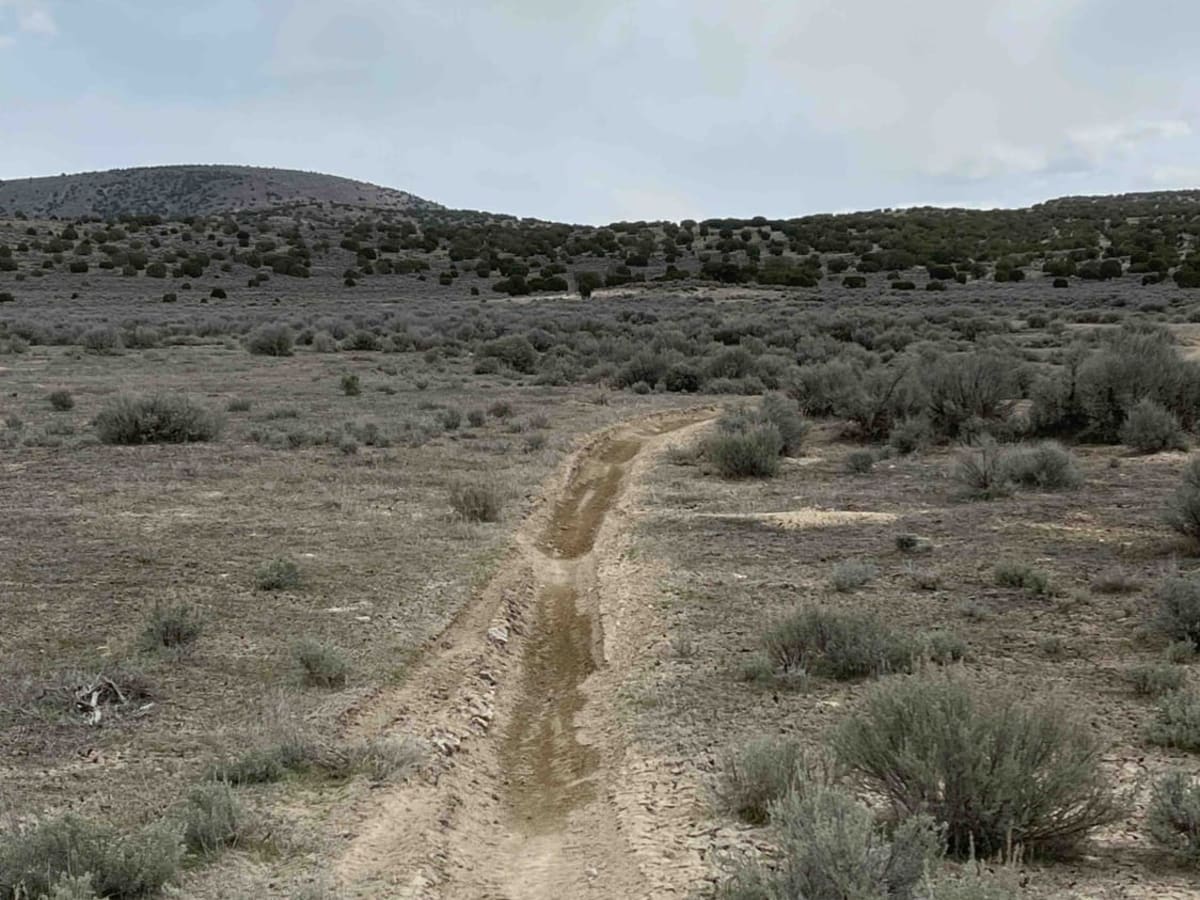 Sage Speedway photo 3