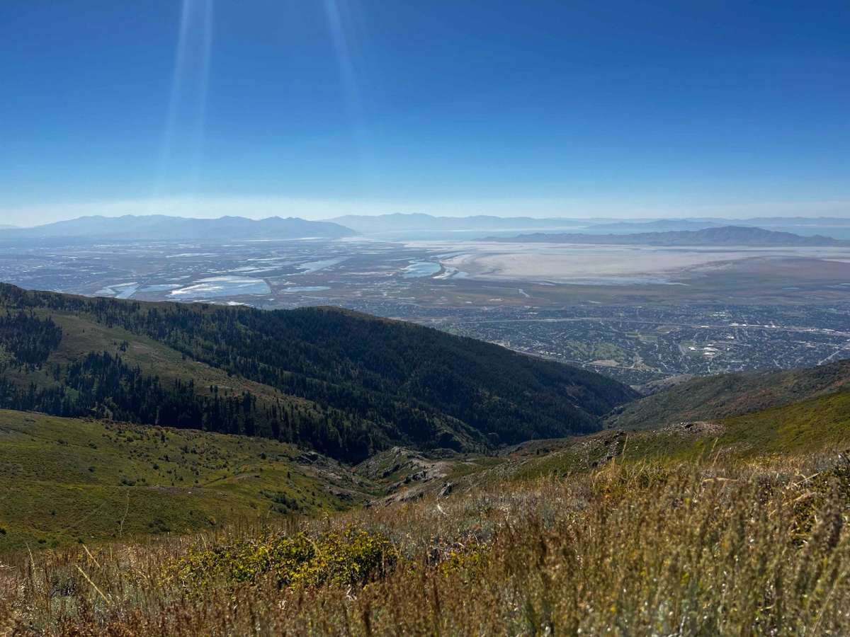 Holmes Creek Road (FR 260) trail photo