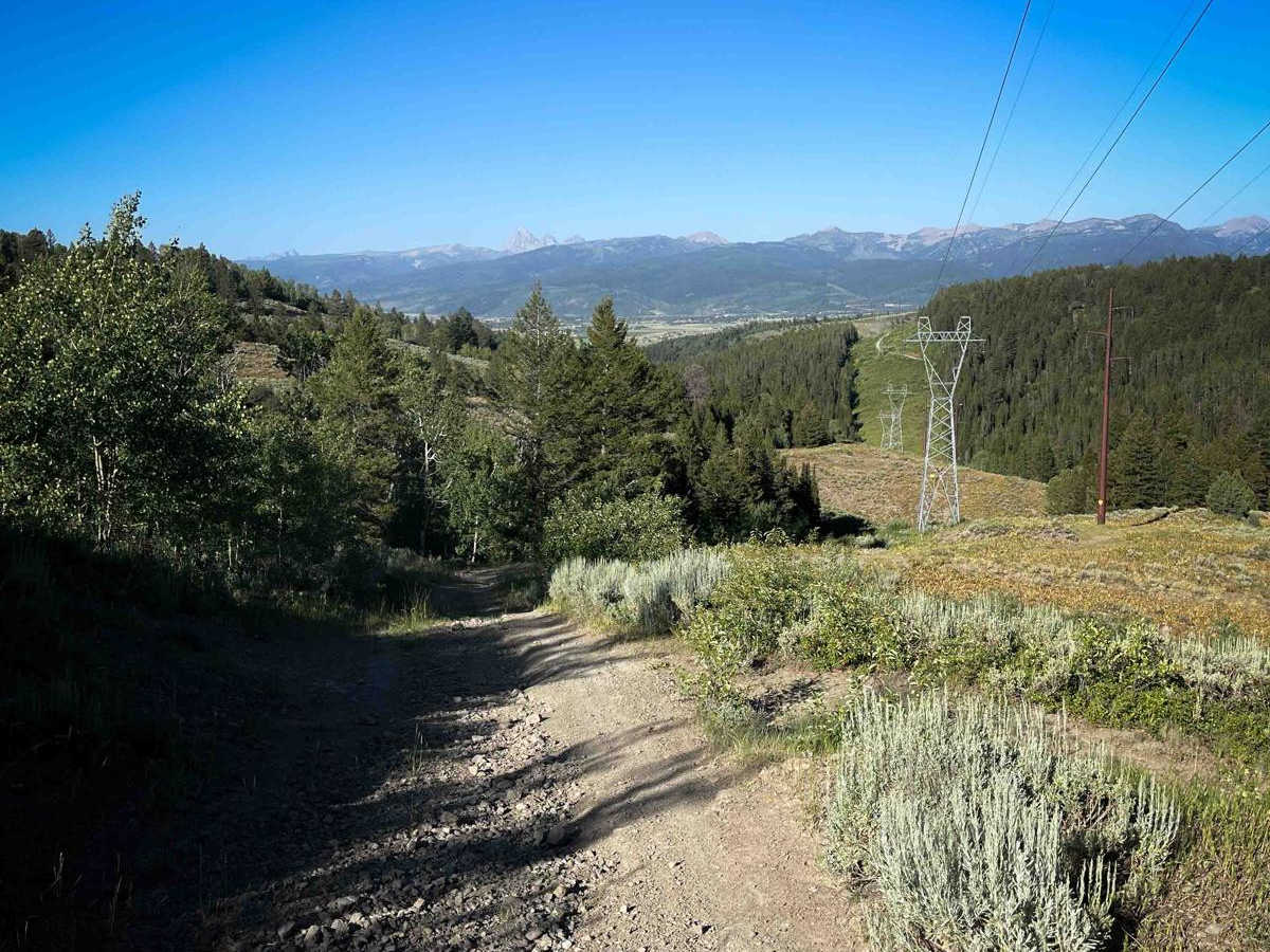 Powerline photo 6