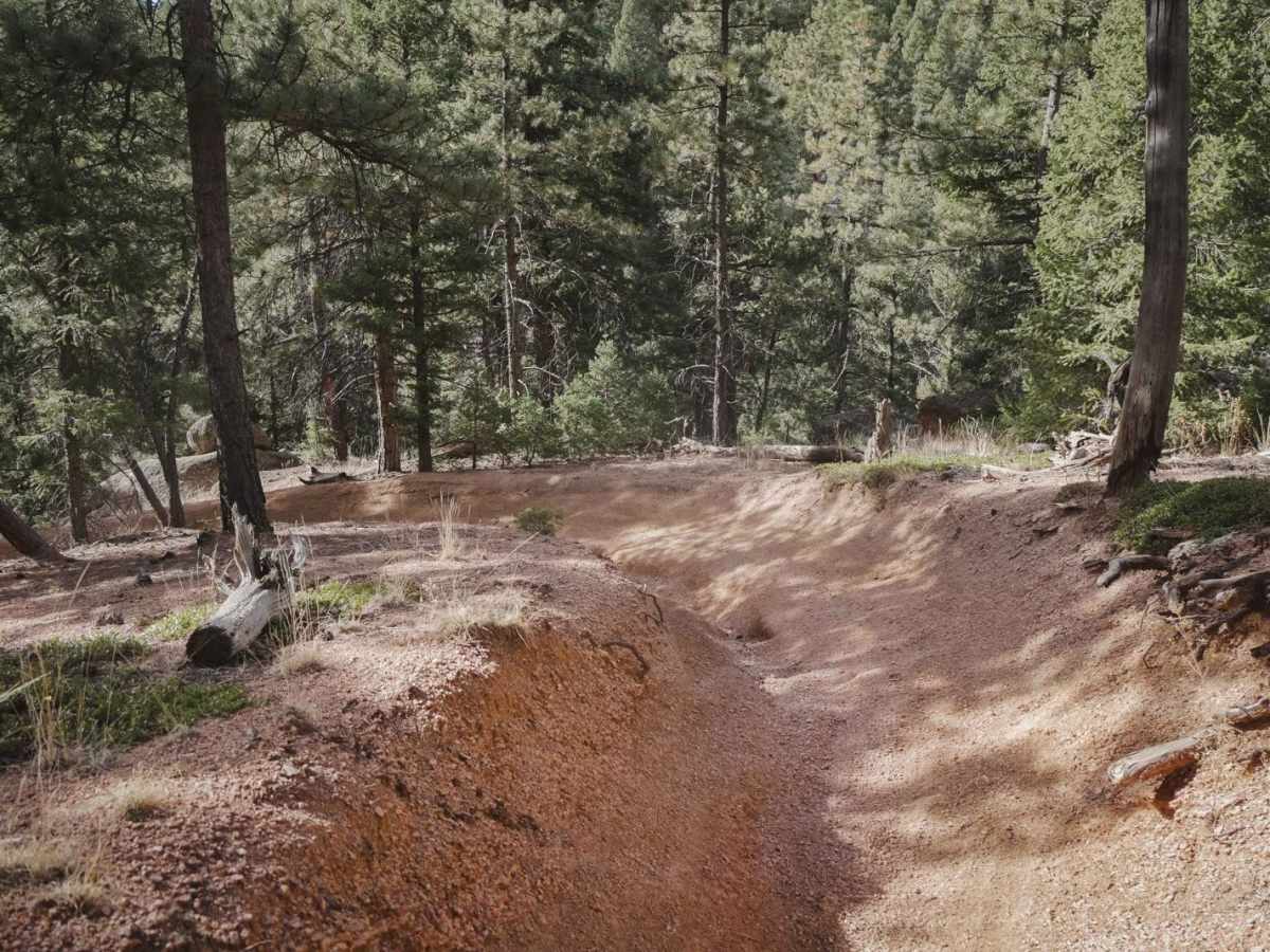 657 Gramps ATV Trail photo 4