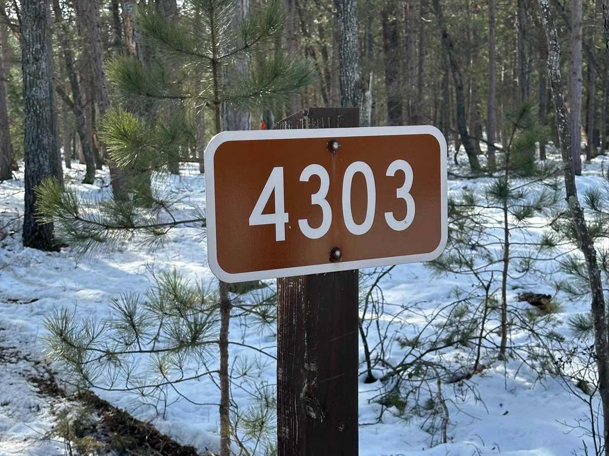 FS 4303 trail photo