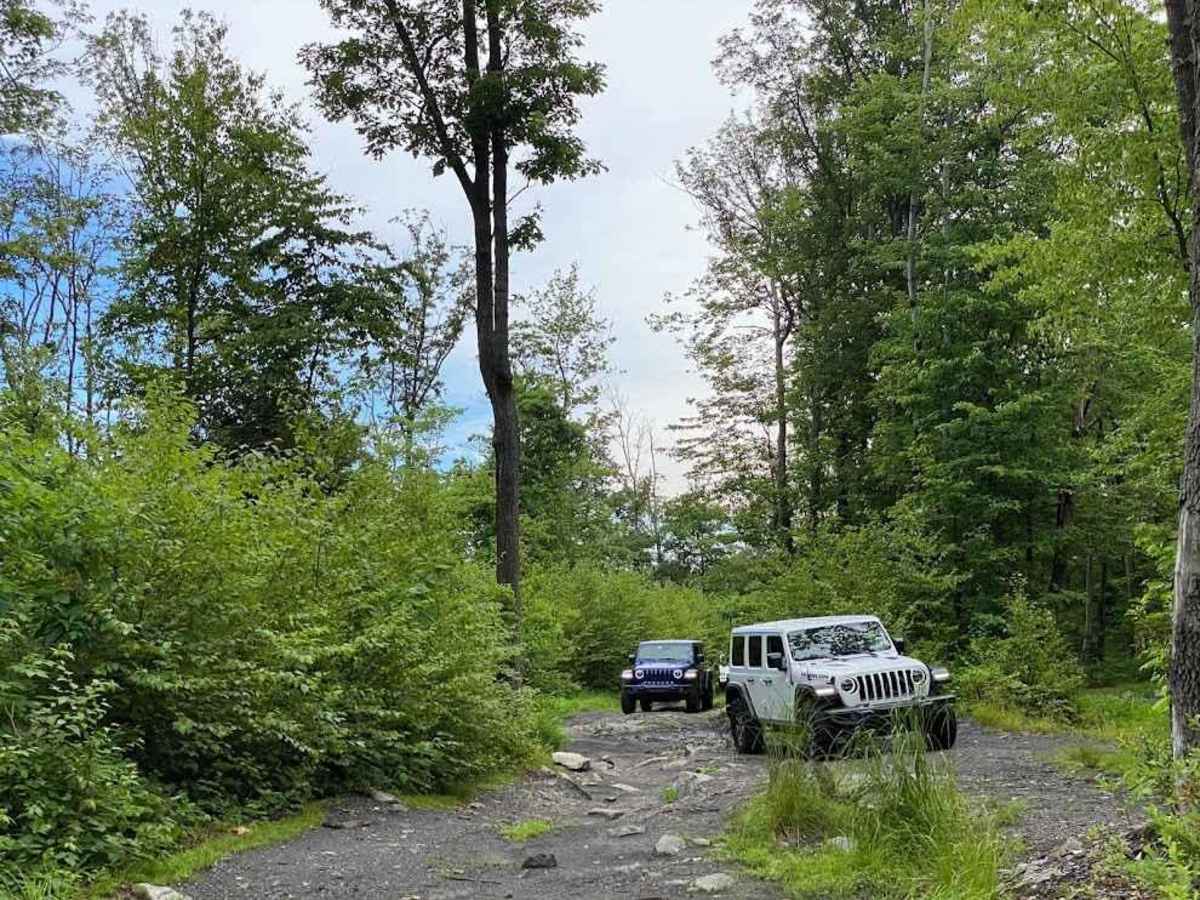 C trail photo