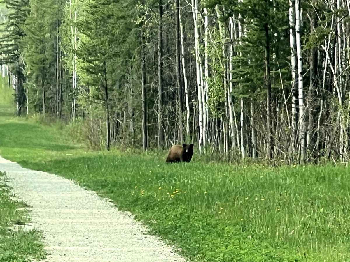 Rolling River Road photo 6