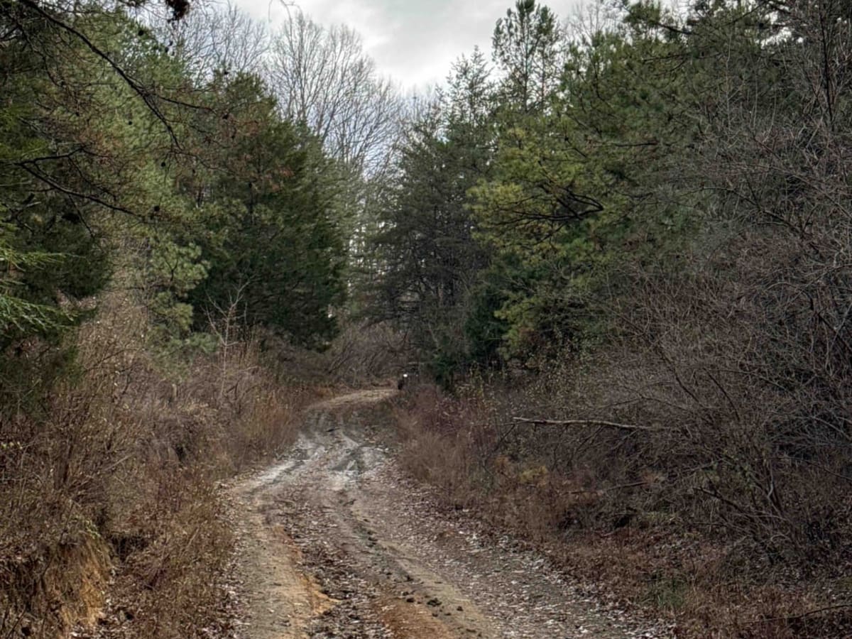 KAT Hard 2 trail photo