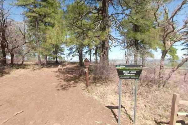 Mount Logan Road BLM 1064