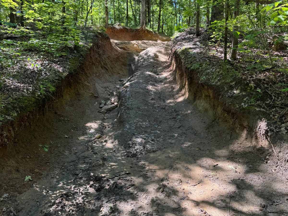 Clemson Detour photo 2