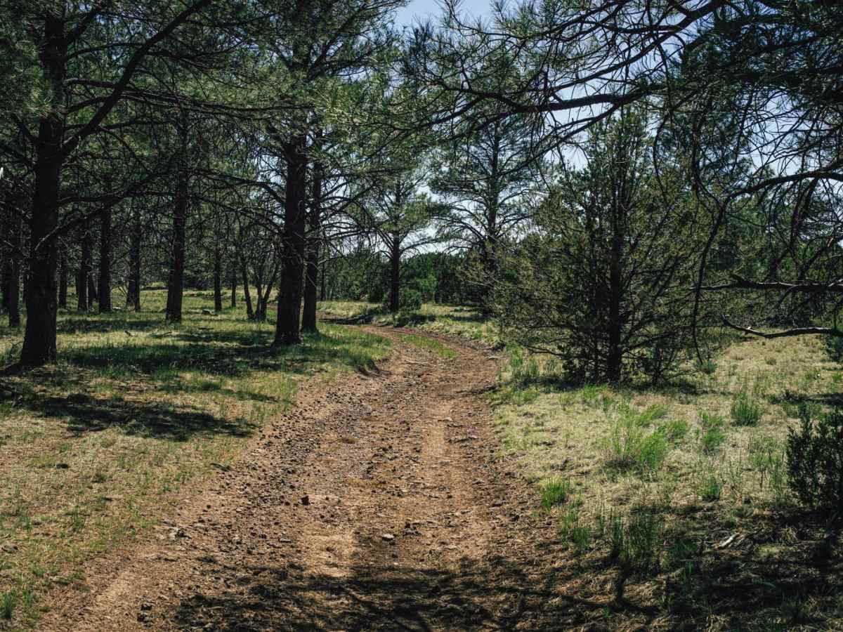 Old 714 Road photo 3