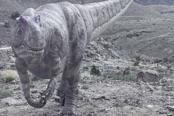 Dinosaur Quarry Road