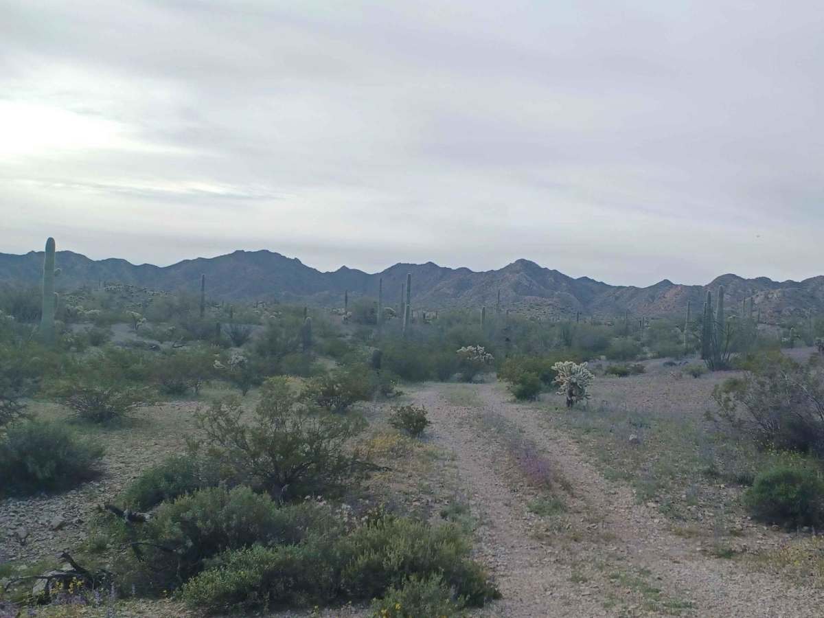 Hidden Camp trail photo
