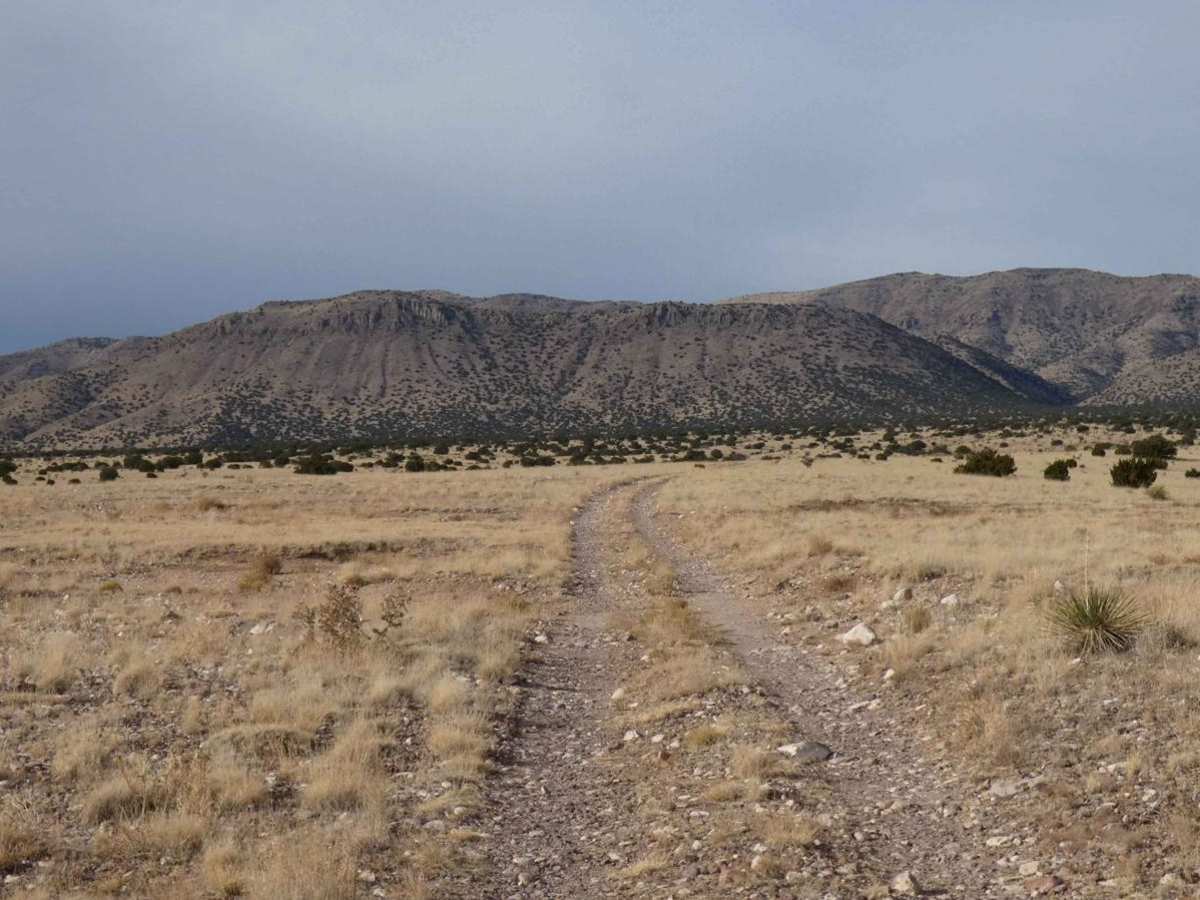 Jack's Valley photo 4
