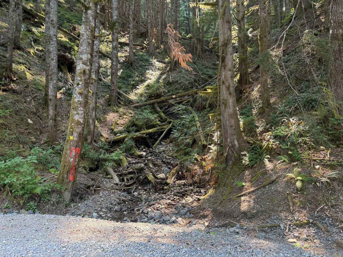 Boardman Lake Trail photo 4