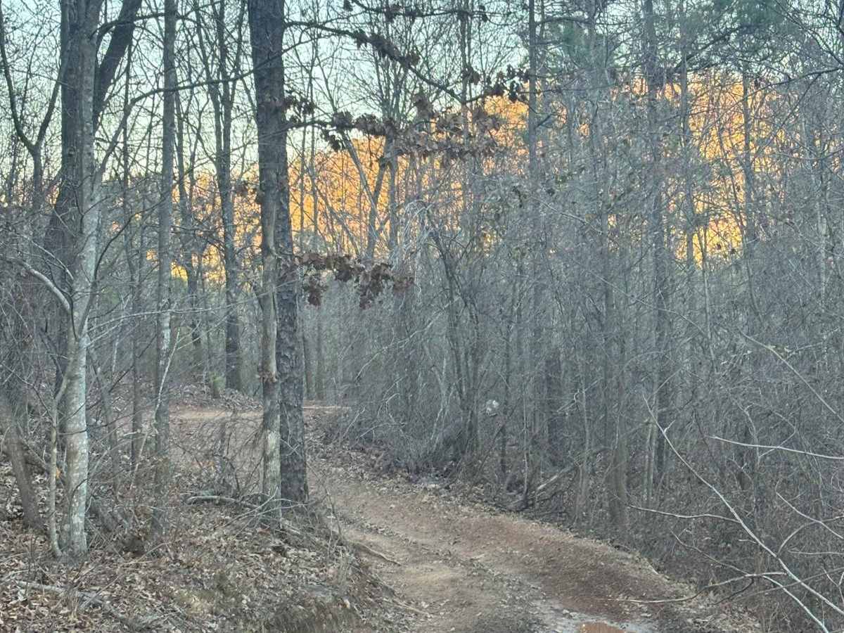 Lincoln View Trail photo 4