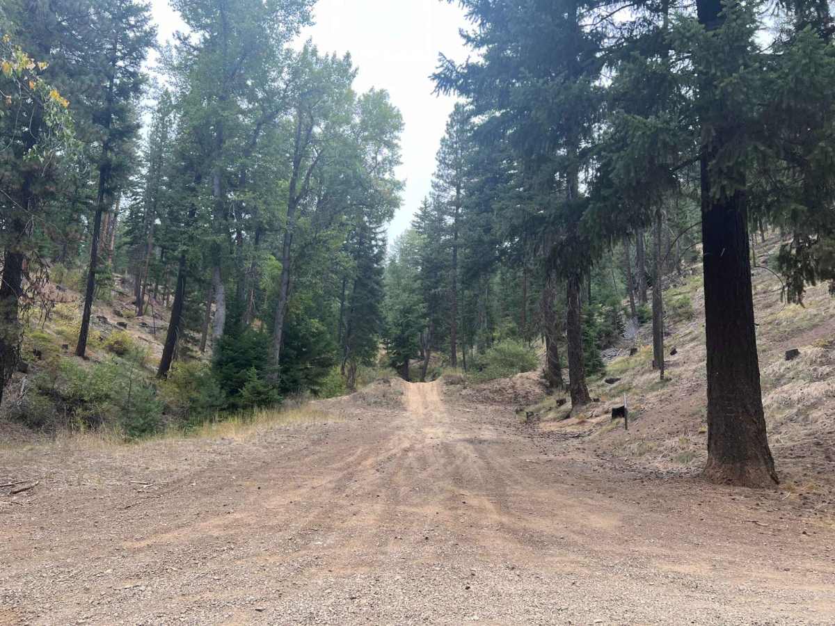 Deer and Pine Gulch photo 4