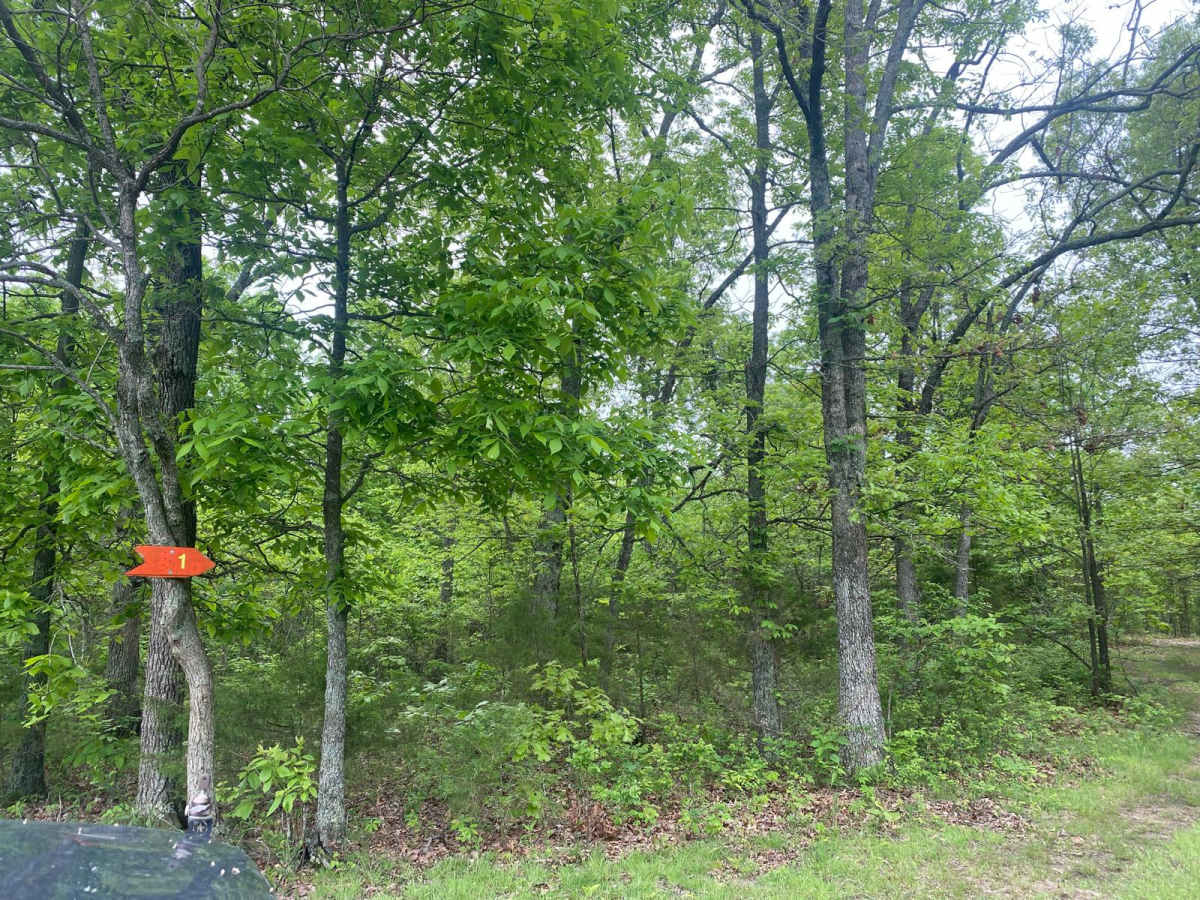 Peacemaker trail photo