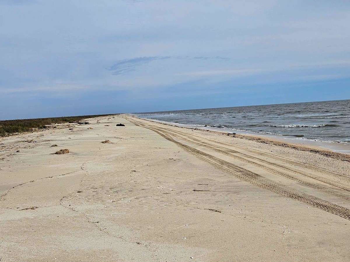 Rutherford Beach Mesquite Ridge photo 3
