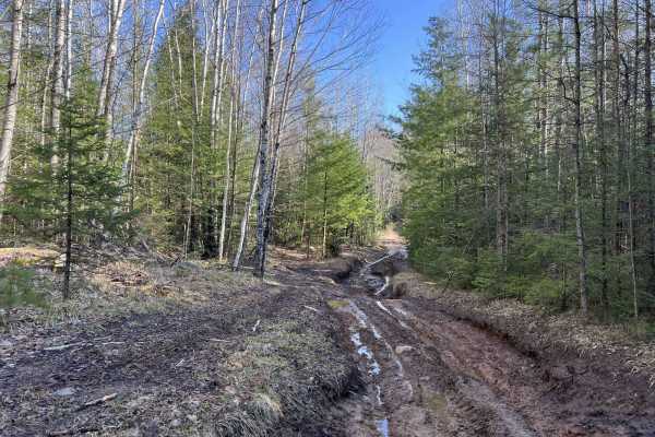Norway Truck Trail 1
