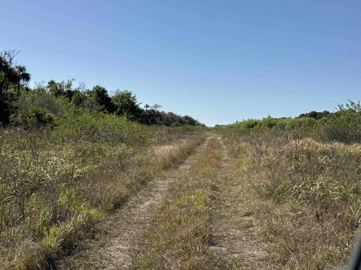 Merritt Boulevard South photo 5