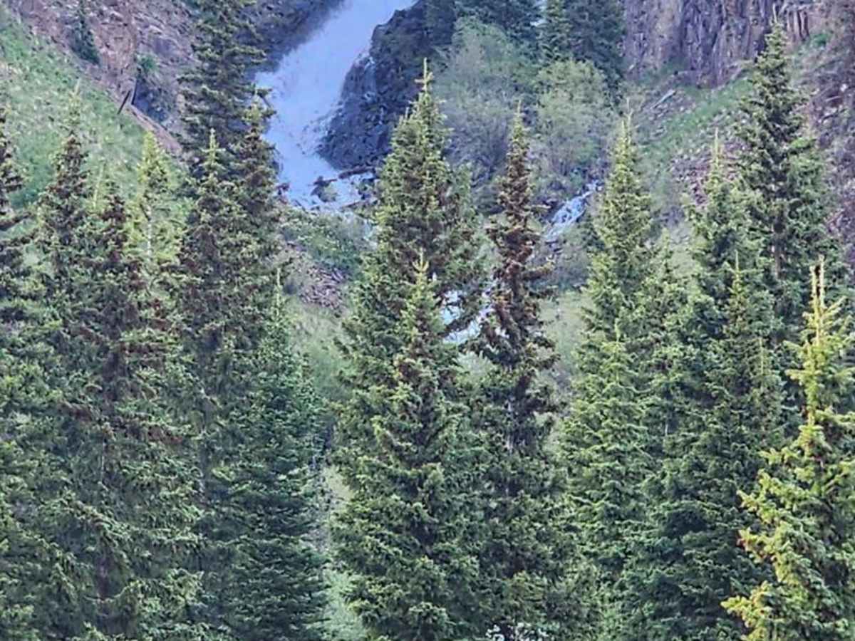 North Henson Creek Road trail photo