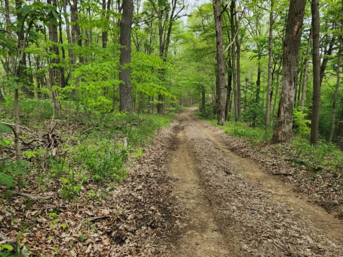 Mouth Hollow Road photo 3