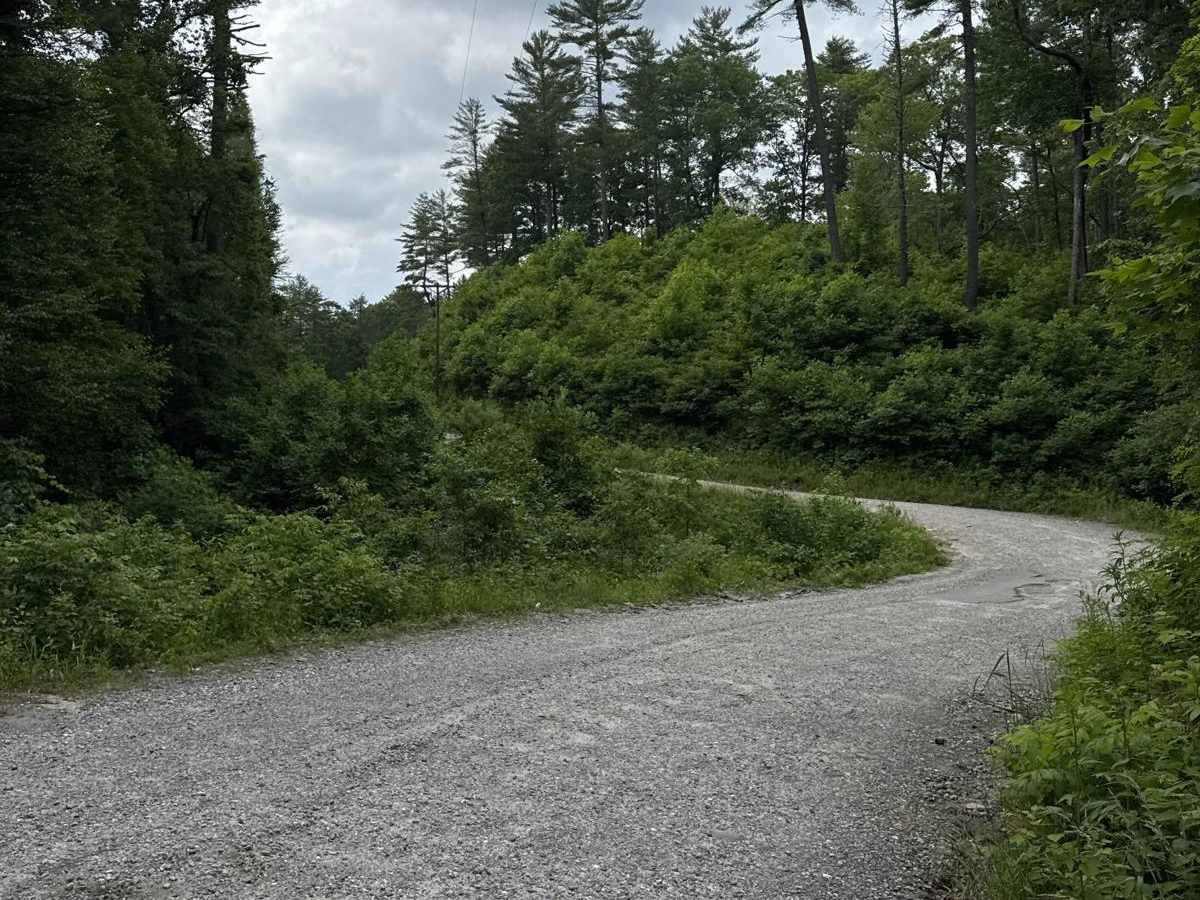 Rock Creek Road - FS 69 photo 5