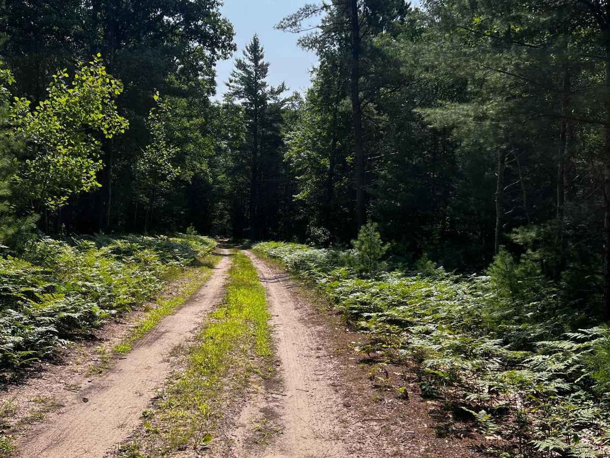 Blind Creek Trail trail photo