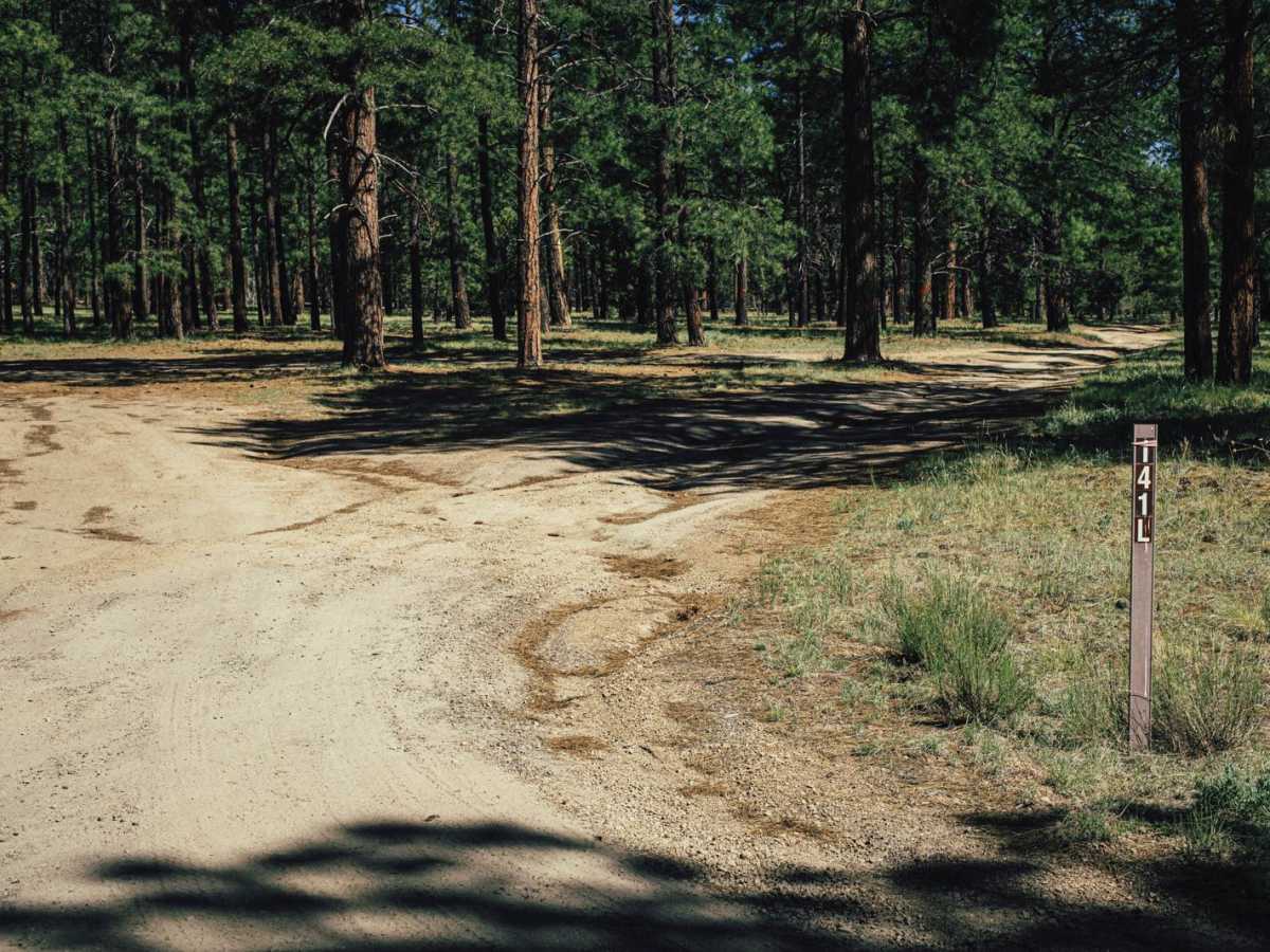 141L trail photo