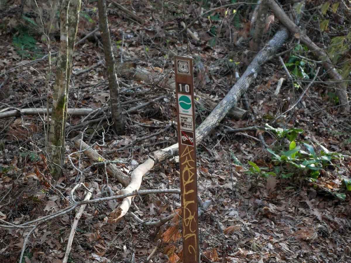 Blanton Branch Trail 10 photo 4