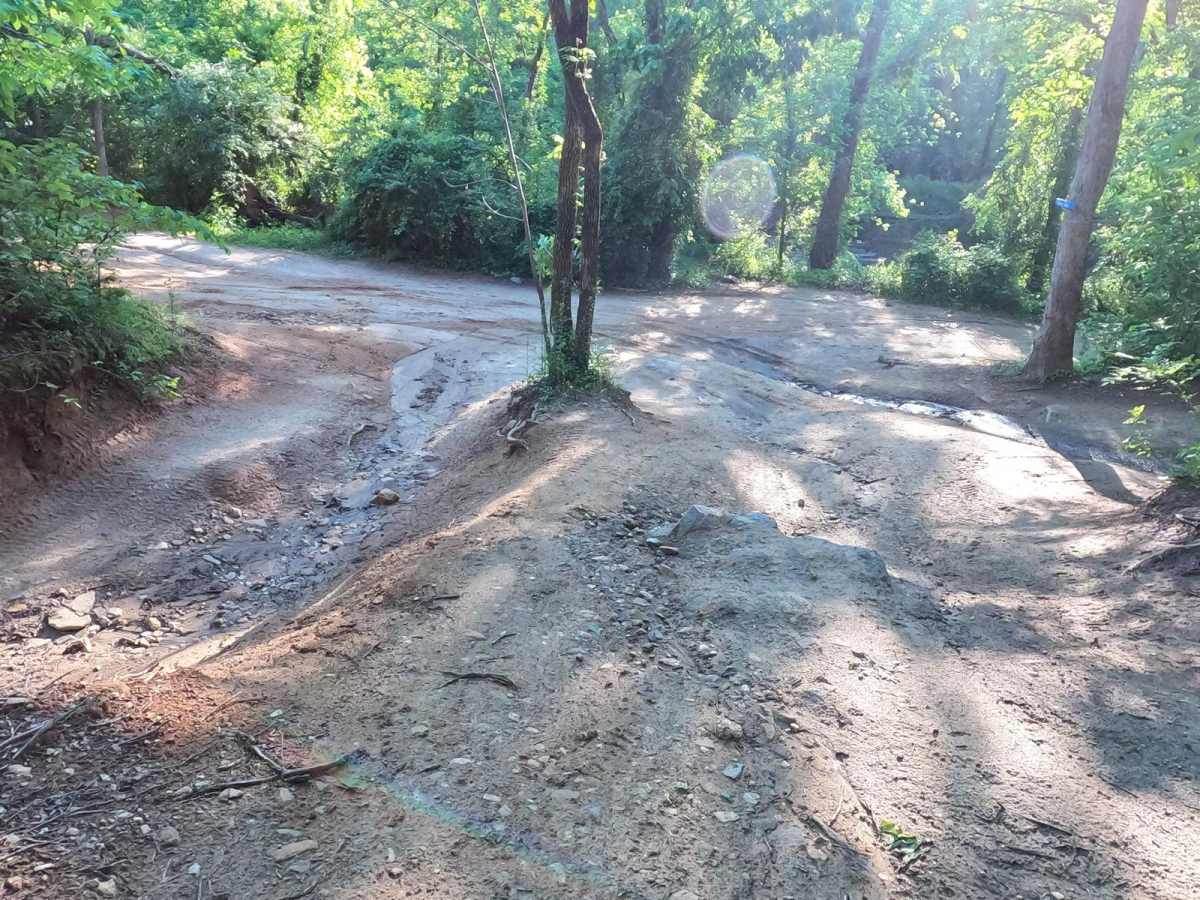 Oak's Detour photo 6