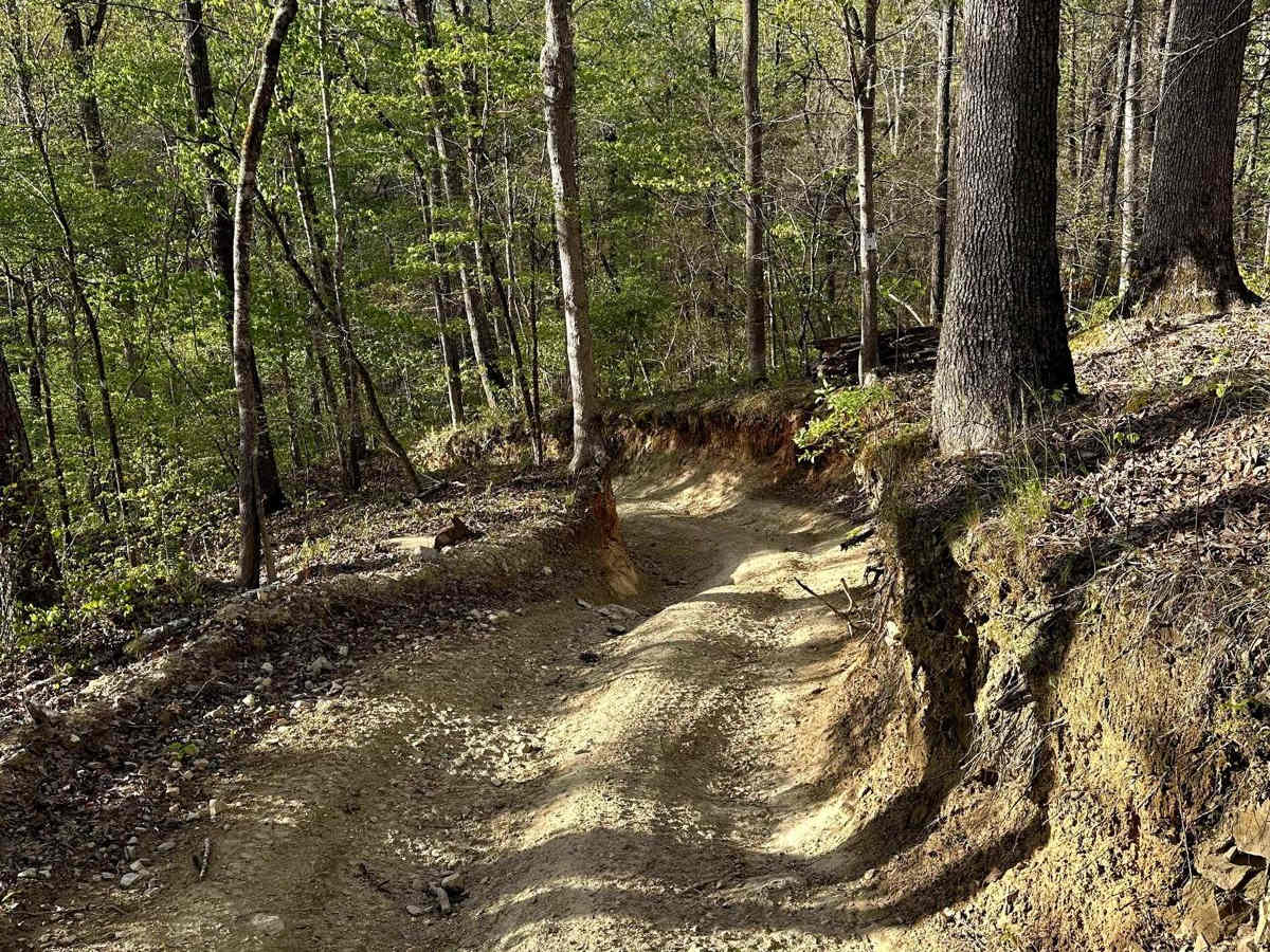 Trail 28 photo 3