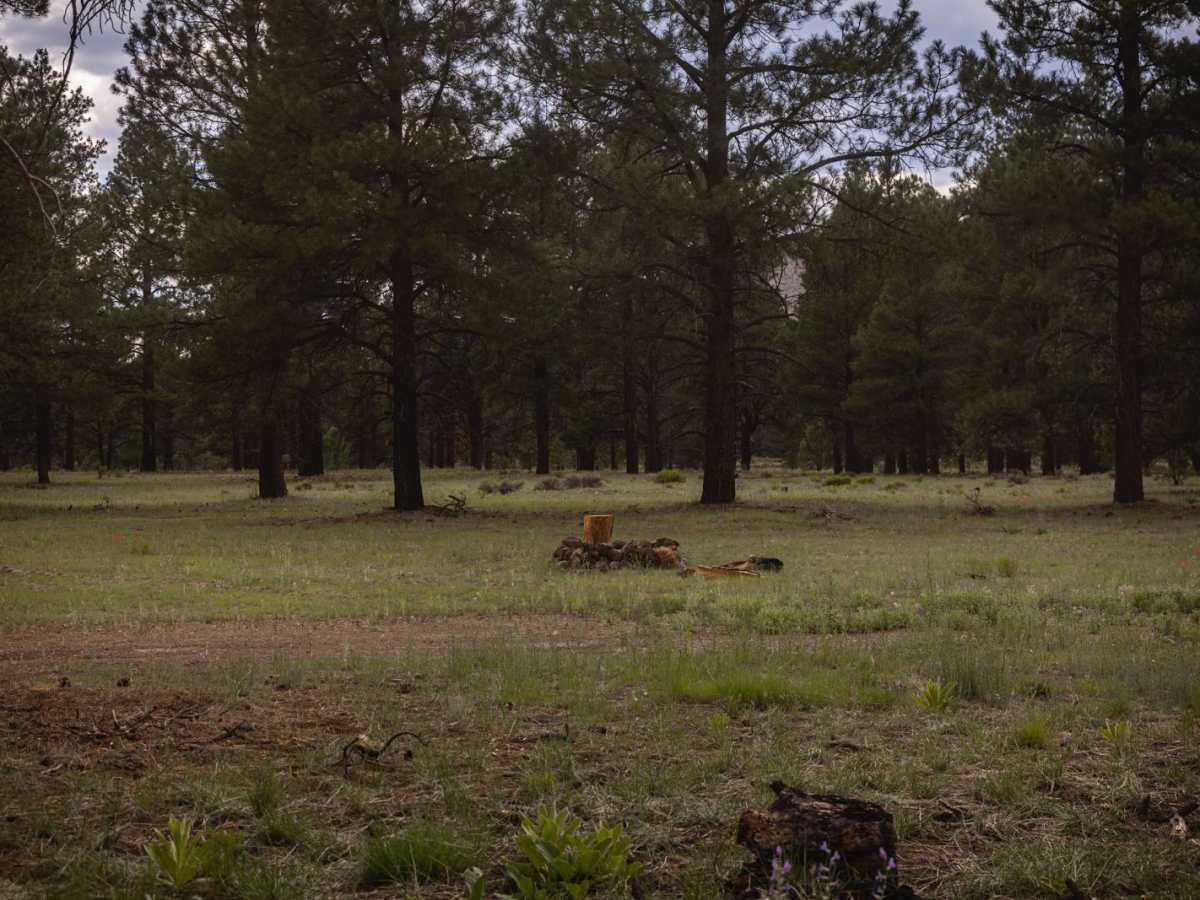Beale's Wagon Road photo 2