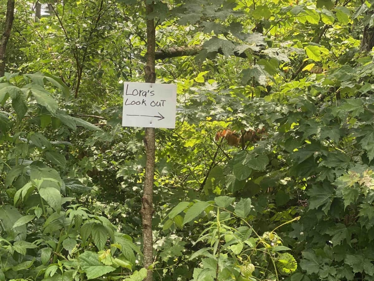 Trail 25 photo 5