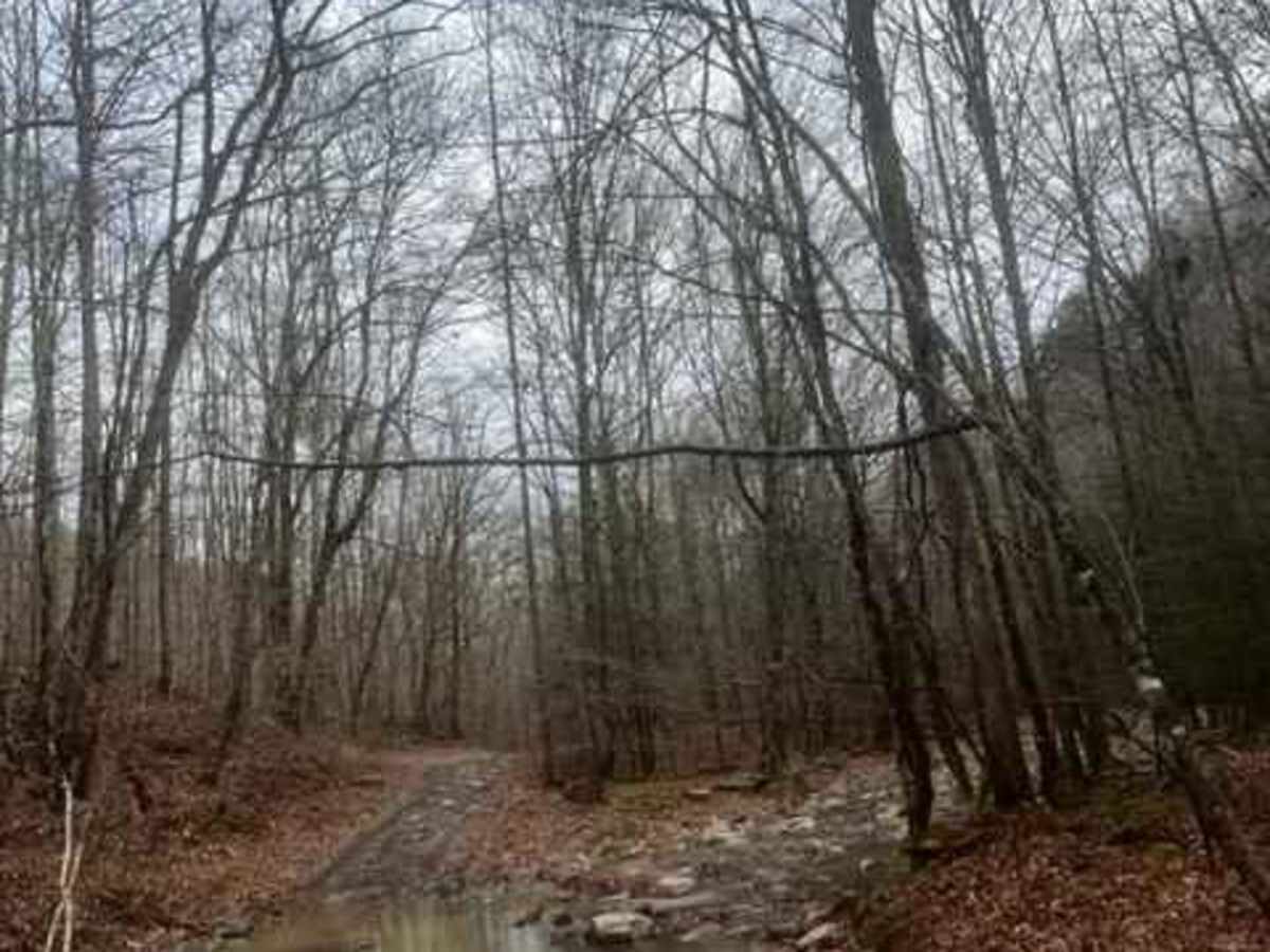 Coalmont OHV Trail 1 Blue photo 6