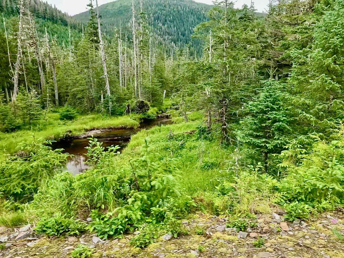 Highbush Spur Road - 50041 photo 6
