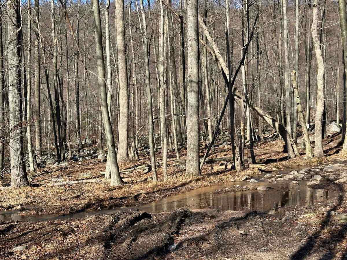 12B Blue trail photo