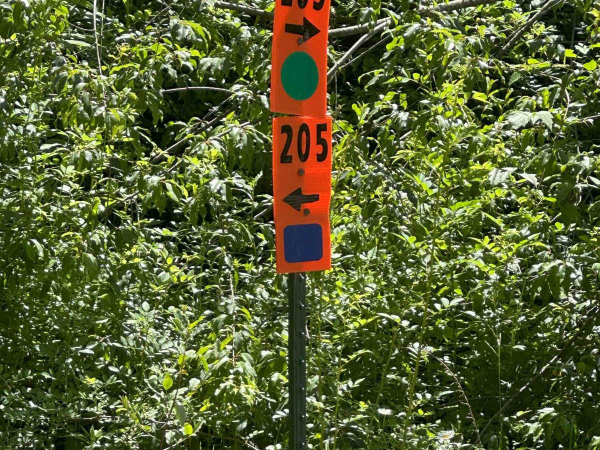 205 trail photo