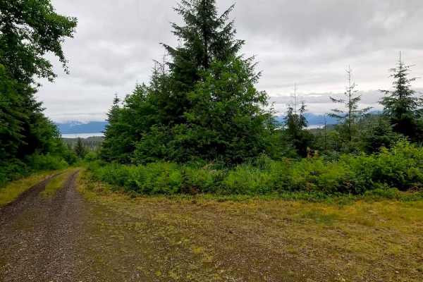 Canyon Creek / La Conte Lookout 6232