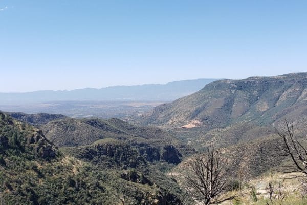 FS 538B Buckner Ridge Trail