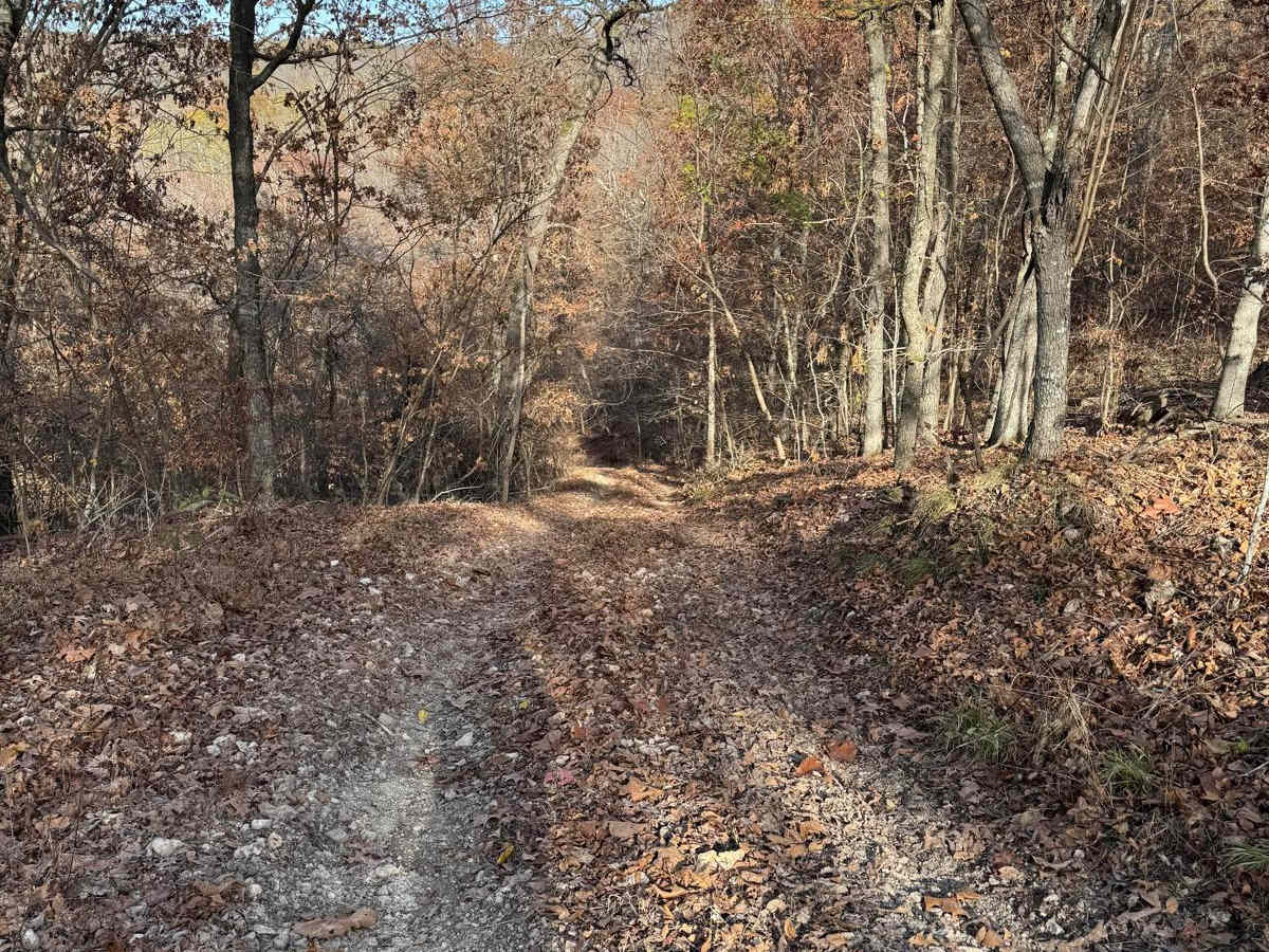 Hixon Hollow 177 trail photo