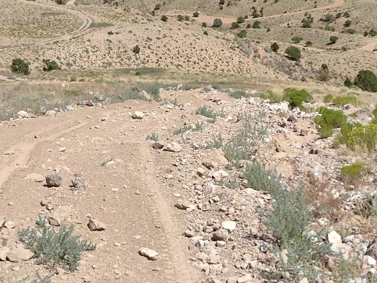 Over Hill, Over Dale photo 6