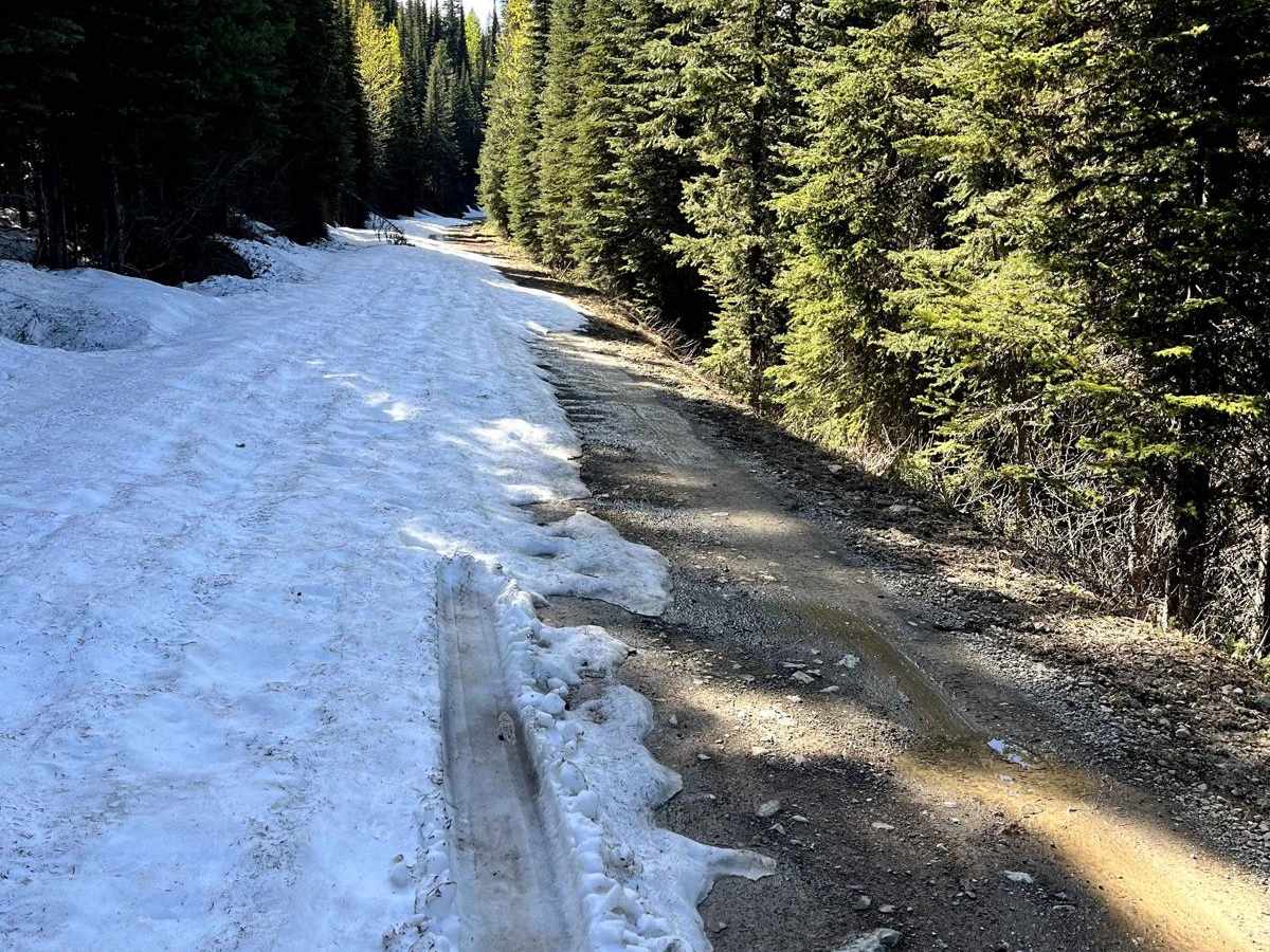 Hallowat Creek North - NF315 photo 5
