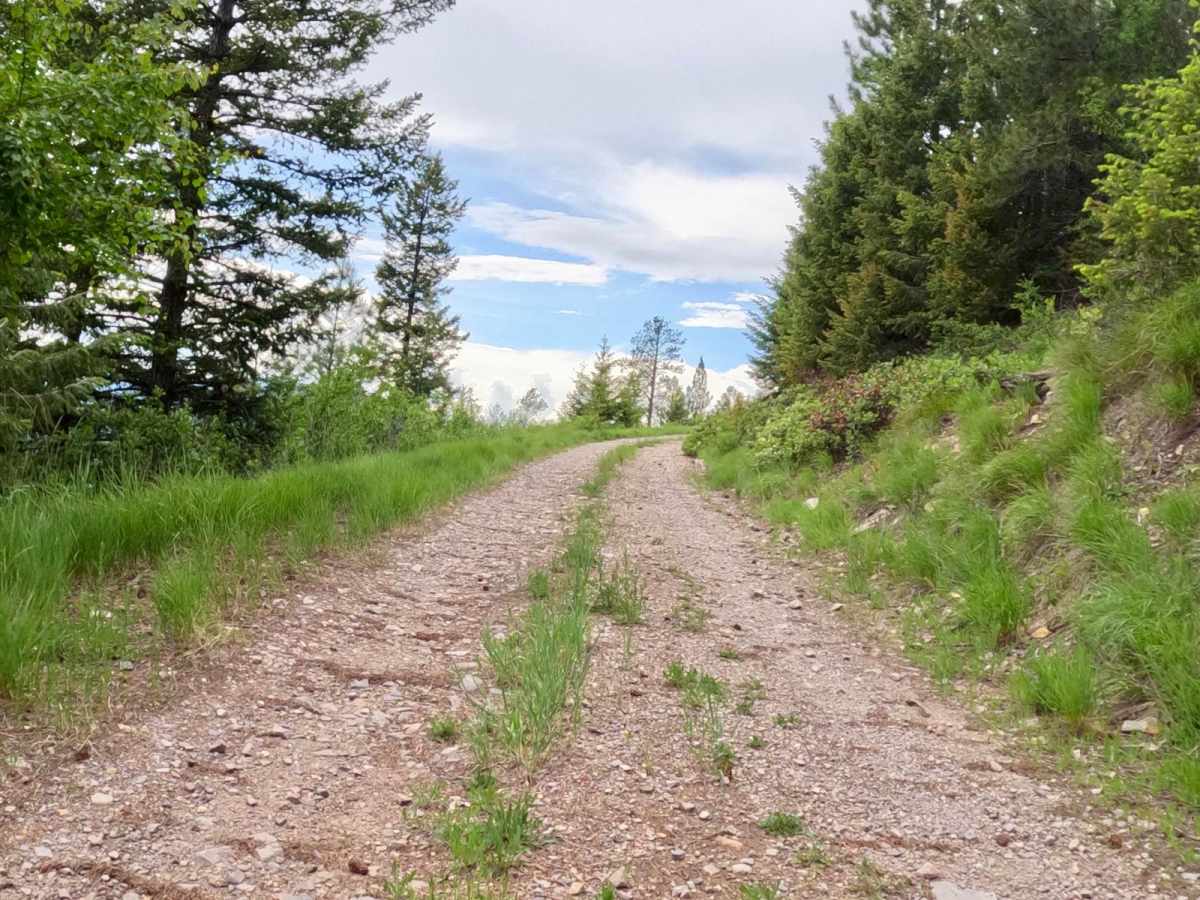 Verde Creek Road-Sunrise Road-Quartz Road photo 5