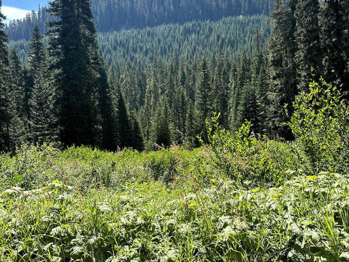 Rainy Creek Trail trail photo