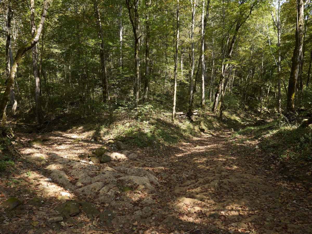 Ugly Creek - Mammoth Cave NP photo 4