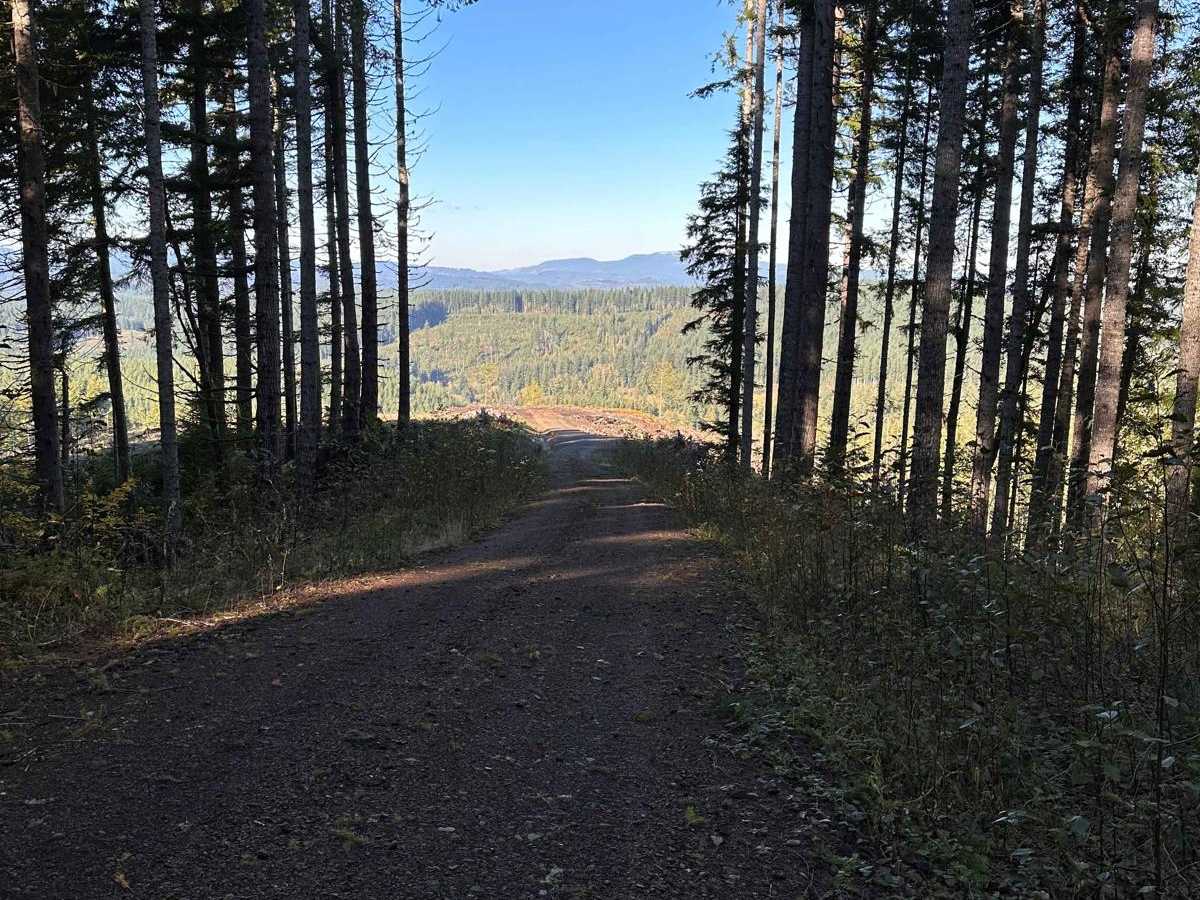 Wage to Walker Ridge photo 4
