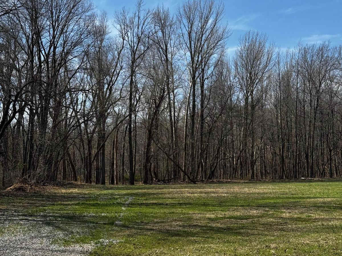 Camp Loop 4 trail photo