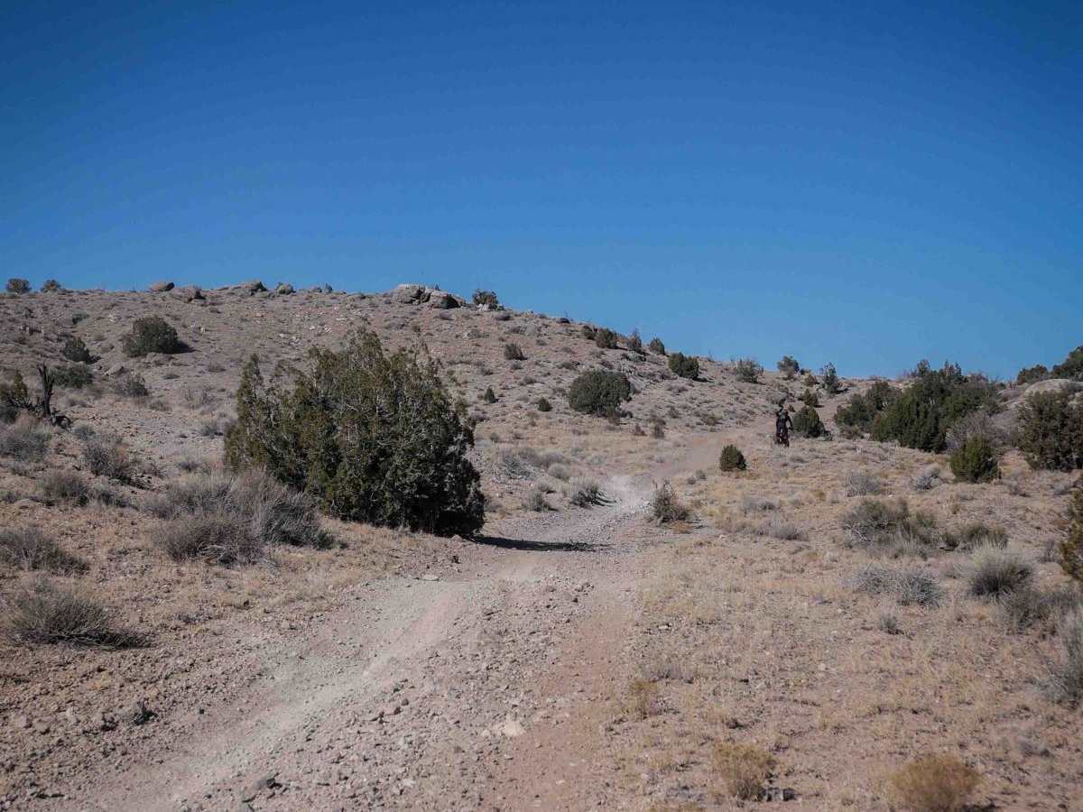 Lost Spring Wash photo 3