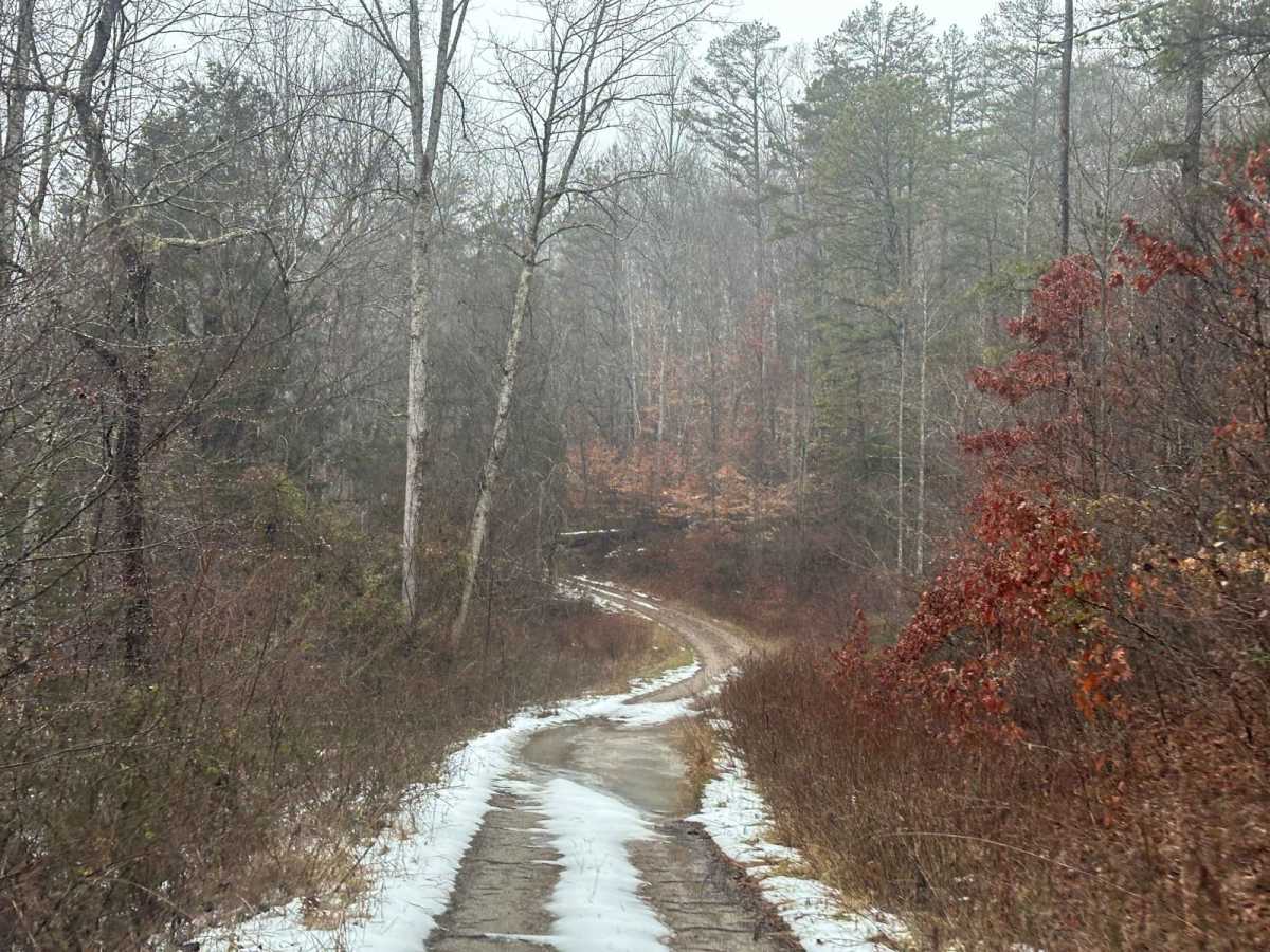 Lake Branch 3171 photo 3