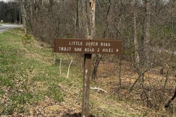 Little Boyer Road