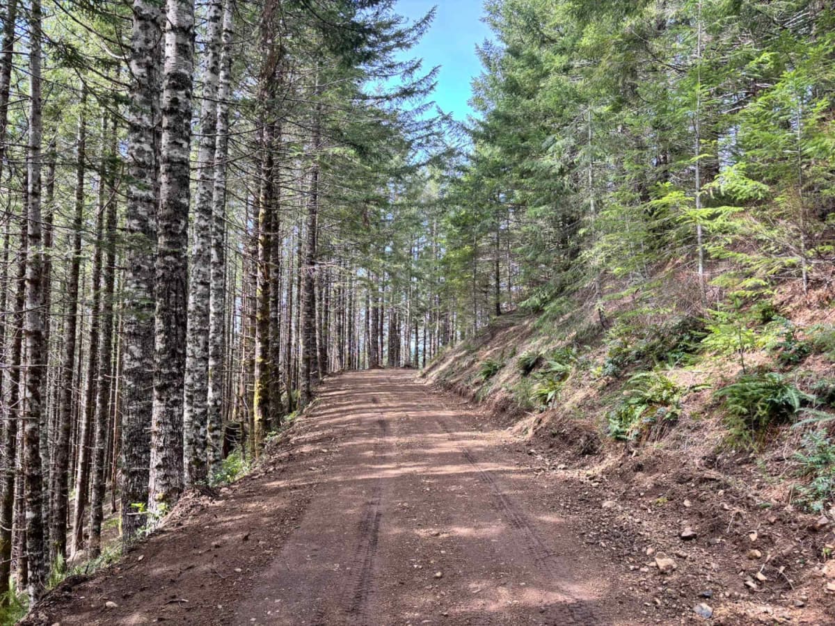 Firebreak 3 East photo 3