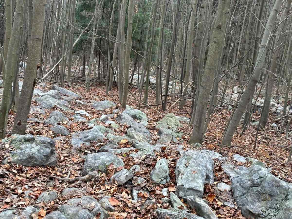 19 Blue trail photo